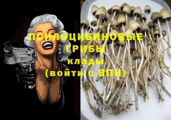 шишки Абдулино