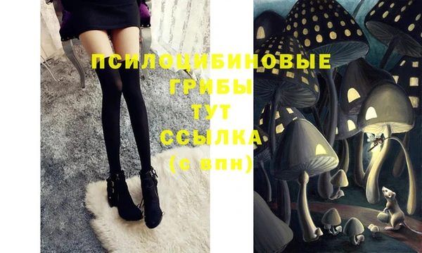 дмт Абаза